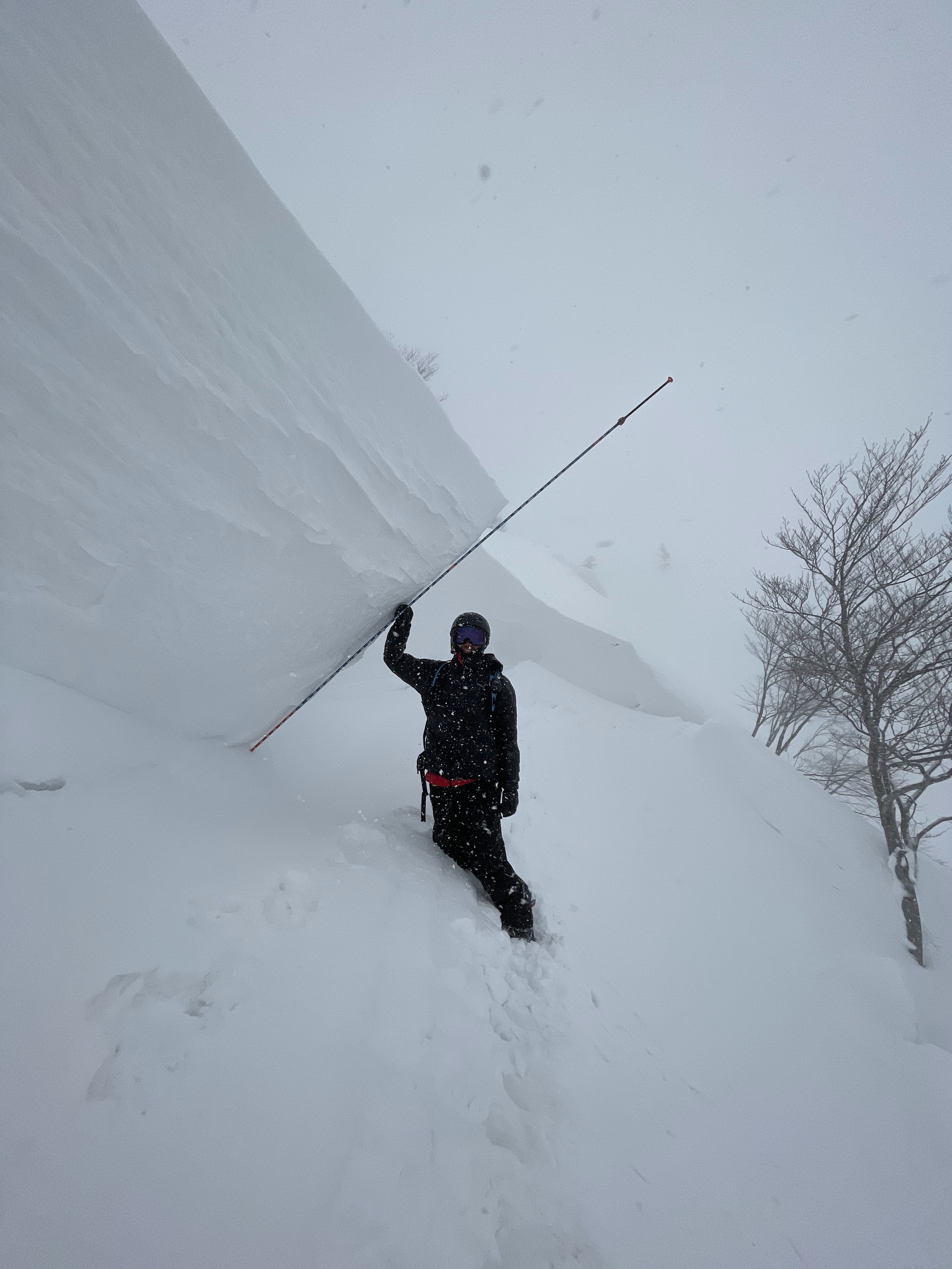 雪崩調査研究・雪崩メカニズム解明