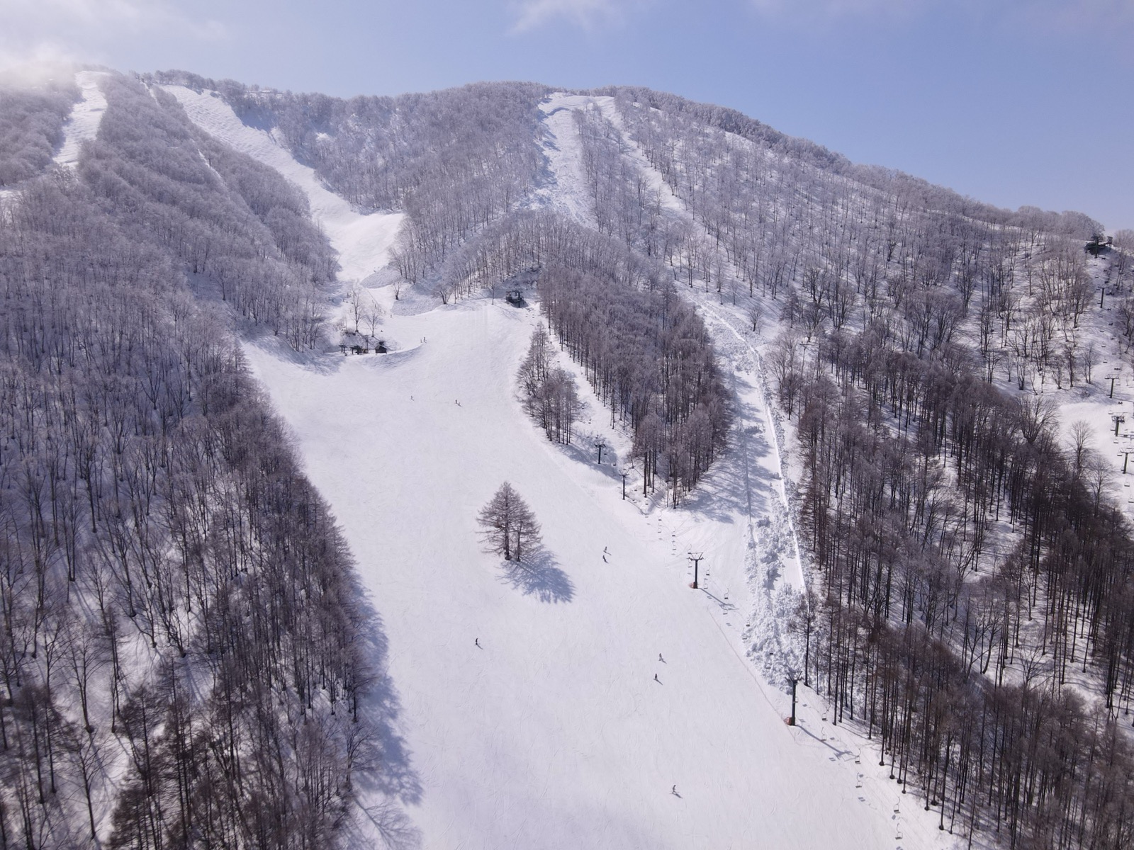 斑尾高原スキー場 雪崩発生現場の空撮写真